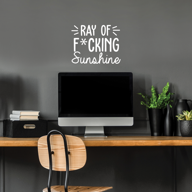 Vinyl Wall Art Decal - Ray Of Fcking Sunshine - 17" x 21.5" -  Trendy Sarcastic Funny Adult Joke Quote Sticker For Office Work Business Store Coffee Shop Home Bedroom Living Room Decor 3