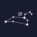 Vinyl Wall Art Decal - Leo - 17" x 32.5" - Astrology Zodiac Sign Modern Inspirational Quote Sticker For Bedroom Living Room Home Office Constellation Decor 1