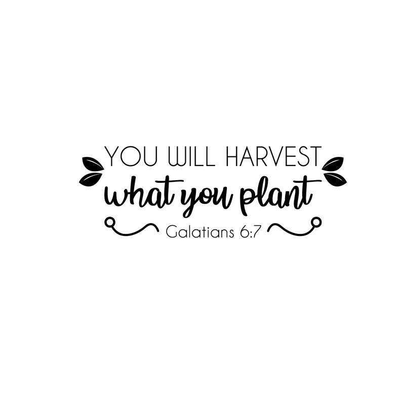 Vinyl Wall Art Decal - You Will Harvest What You Plant - Galatians 6:7 - 6" x 18" - Cute Inspirational Religious Bible Verse Quote Sticker For Bedroom Closet Dining Room Office Church Decor 1