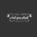 Vinyl Wall Art Decal - You Will Harvest What You Plant - Galatians 6:7 - 6" x 18" - Cute Inspirational Religious Bible Verse Quote Sticker For Bedroom Closet Dining Room Office Church Decor 1