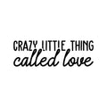 Vinyl Wall Art Decal - Crazy Little Thing - Trendy Cute Inspirational Charming Lovely Quote Sticker For Nursery Playroom Kids Room Baby Room Living Room School Coffee Shop Decor 1