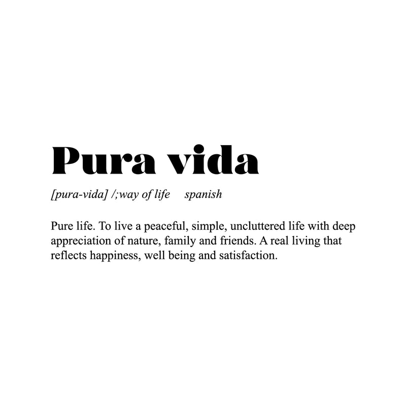 Vinyl Wall Art Decal - Pura Vida - 11. Trendy Cool Inspirational Positive Vibes Spanish Phrase Quote Sticker For Office Business Store Coffee Shop Bedroom Living Room Decor 1