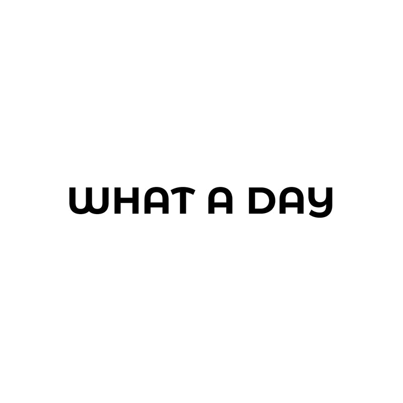 Vinyl Wall Art Decal - What A Day - 2.5" x 20" - Trendy Cute Fun Optimistic Good Vibes Quote Sticker For Bedroom Living Room Office Business Coffee Shop Decor 1