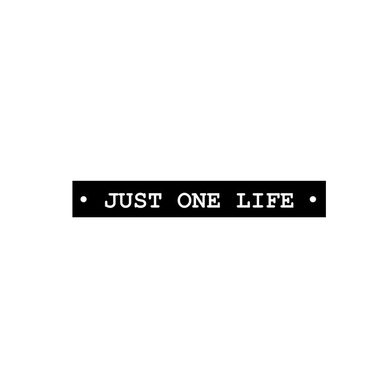 Vinyl Wall Art Decal - Just One Life - 3" x 20" - Trendy Cute Inspirational Optimistic Self Esteem Quote Sticker For Home Office Bedroom Living Room Coffee Shop Decor 1