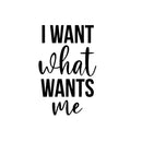 Vinyl Wall Art Decal - I Want What Wants Me - 25" x 16" - Trendy Inspiring Cute Positive Self Esteem Quote Sticker For Bedroom Closet Boutique Beauty Saloon Office Business Coffee Shop Decor 1