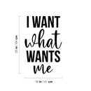 Vinyl Wall Art Decal - I Want What Wants Me - 25" x 16" - Trendy Inspiring Cute Positive Self Esteem Quote Sticker For Bedroom Closet Boutique Beauty Saloon Office Business Coffee Shop Decor 4