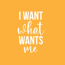 Vinyl Wall Art Decal - I Want What Wants Me - 25" x 16" - Trendy Inspiring Cute Positive Self Esteem Quote Sticker For Bedroom Closet Boutique Beauty Saloon Office Business Coffee Shop Decor 1