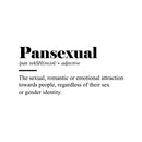 Vinyl Wall Art Decal - Pansexual - 11. Trendy Cute Equality Gender Inspiring Positive Quote Sticker For Home Bedroom Closet Living Room Office Business Coffee Shop LGBT Pride Decor 1