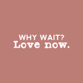 Vinyl Wall Art Decal - Why Wait Love Now - 5" x 20" - Modern Inspirational Optimism Self Love Quote Sticker For Home Office Bedroom Closet Living Room Decor 1