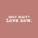 Vinyl Wall Art Decal - Why Wait Love Now - 5" x 20" - Modern Inspirational Optimism Self Love Quote Sticker For Home Office Bedroom Closet Living Room Decor 1