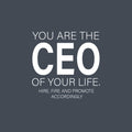 Vinyl Wall Art Decal - You Are The CEO Of Your Life. Hire; Fire And Promote Accordingly - 17" x 17" - Modern Positive Quote Sticker For Living Room School Office Coffee Shop Decor 1