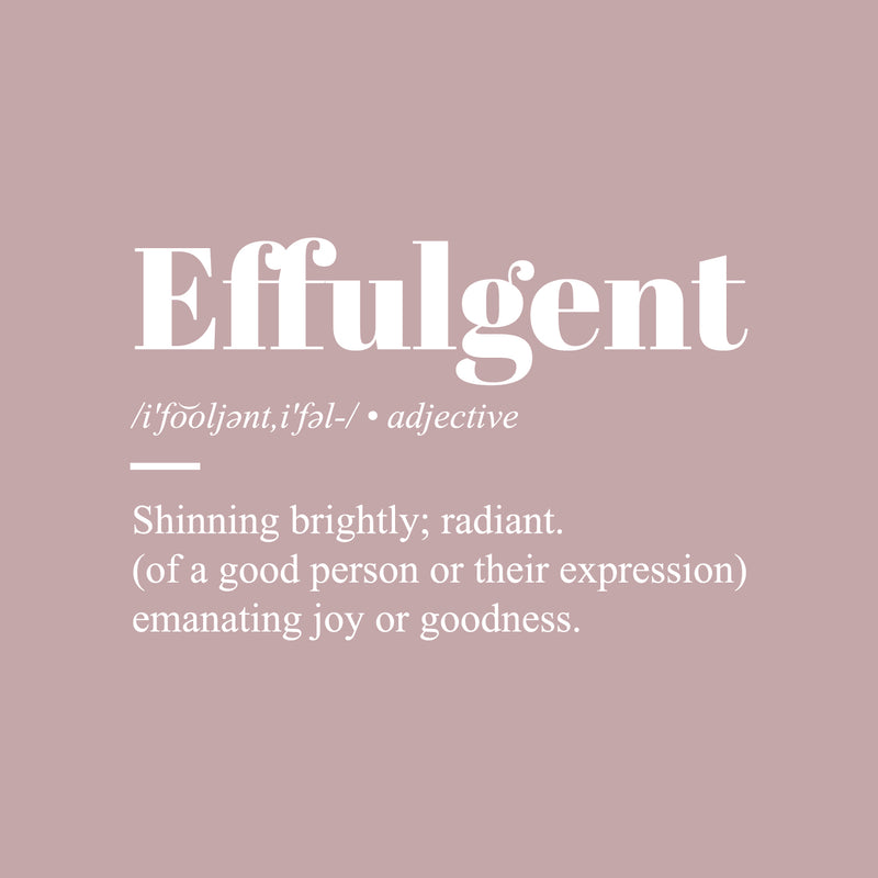 Vinyl Wall Art Decal - Effulgent Definition  - 16" x 25" - Love Modern Inspirational Positive Quote Sticker For Family Home Bedroom Work Office Living Room Decor 1