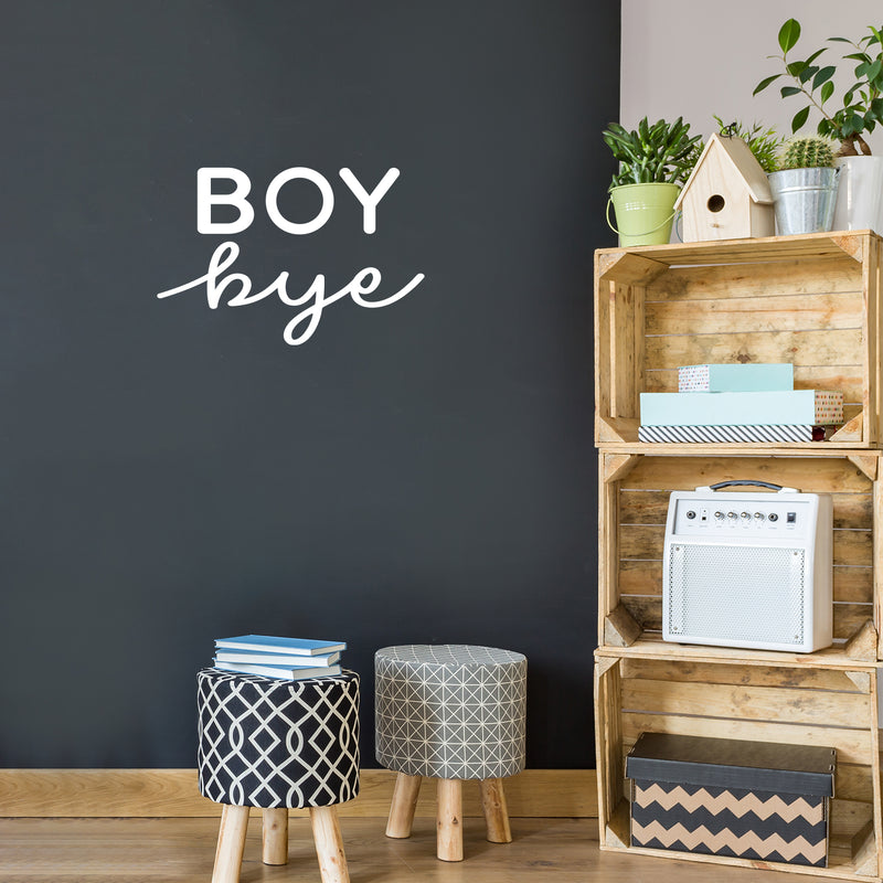 Vinyl Wall Art Decal - Boy Bye - 16" x 23" - Trendy Inspirational Feminism Quote Sticker For Home Office Living Room Girls Bedroom Closet Makeup Mirror Decor 2