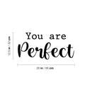 Vinyl Wall Art Decal - You Are Perfect - 12. Trendy Inspirational Positive Quote Sticker For Home Bedroom Kids Room Playroom Nursery Daycare Baby Room Decor 4