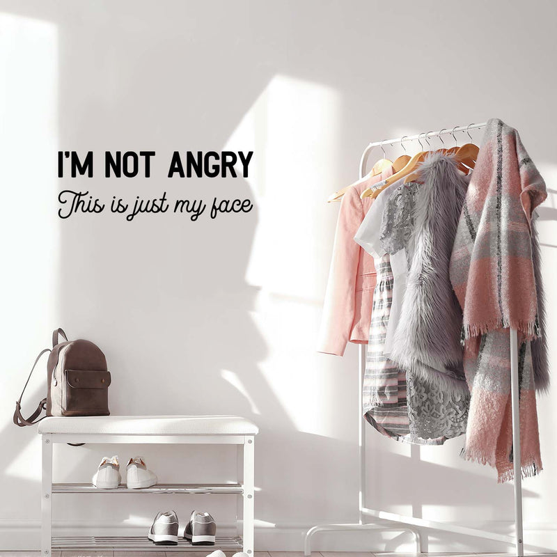 Vinyl Wall Art Decal - I'm Not Angry This Is Just My Face - 9. - Trendy Motivational Sarcasm Quote Sticker For Home Office Teen Bedroom Closet Mirror Living Room Decor 2