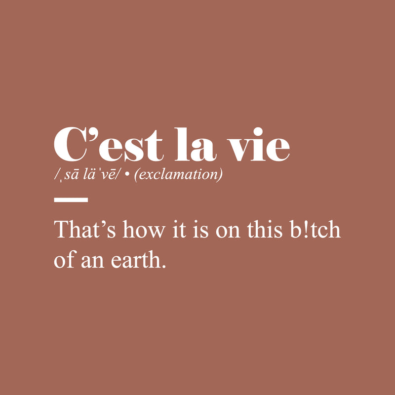 Vinyl Wall Art Decal - C'est La Vie - 12" x 25" - Trendy Positive Funny Adult Joke Quote Sticker For Home Bedroom Living Room Office Coffee Shop Storefront Sarcastic Decor 1