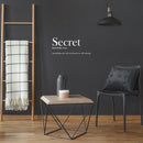 Vinyl Wall Art Decal - Secret Definition - 11" x 25" - Trendy Positive Funny Joke Quote Sticker For Home Living Room Classroom Office Coffee Shop Storefront Sarcastic Decor 2