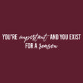 Vinyl Wall Art Decal - You're Important And You Exist For - 4" x 20" - Modern Positive Inspiring Self Esteem Quote Sticker For Home Bedroom Closet Living Room School Coffee Shop Decor 1