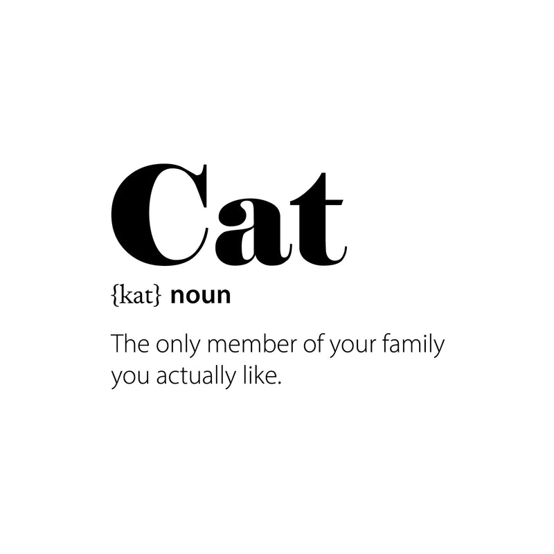 Vinyl Wall Art Decal - Cat Definition - 25" x 16.5" - Trendy Positive Funny Quote Sticker For Home Bedroom Living Room Classroom Coffee Shop Vet Office Decor 1