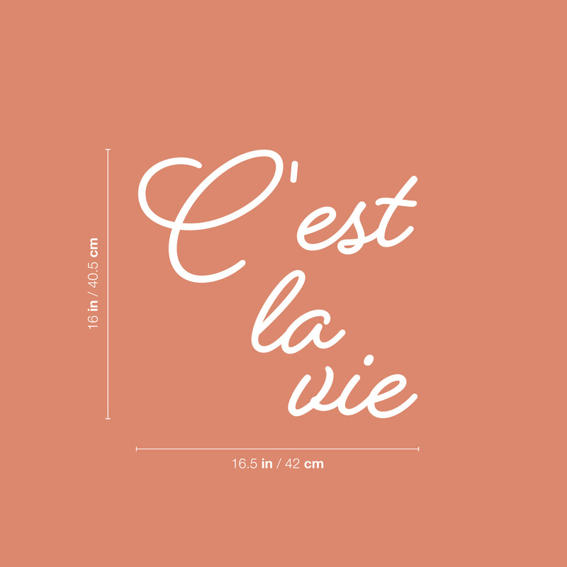 Vinyl Wall Art Decal - C'est La Vie - 16" x 16.5" - Trendy Fun Inspirational Good Vibes French Quote Sticker For Home Bedroom Living Room School Coffee Shop Storefront Decor 4