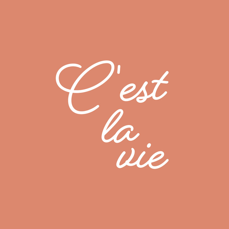 Vinyl Wall Art Decal - C'est La Vie - 16" x 16.5" - Trendy Fun Inspirational Good Vibes French Quote Sticker For Home Bedroom Living Room School Coffee Shop Storefront Decor 1