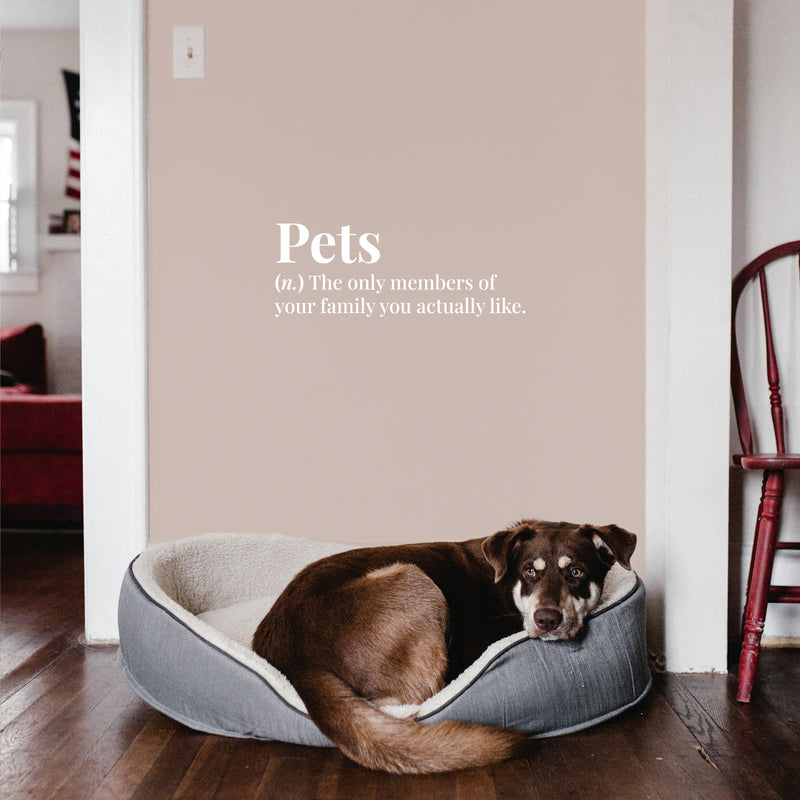 Vinyl Wall Art Decal - Pets Definition - 16" x 6" - Cats Modern Inspirational Funny Quote Sticker For Dog Lovers Home Vet Office Bedroom Living Room Decor 2