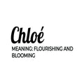 Vinyl Wall Art Decal - Chloe Meaning - Trendy Inspirational Quote Sticker For Children Bedroom Home School Classroom Nursery Daycare Kids Room Decor 1