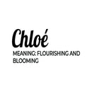 Vinyl Wall Art Decal - Chloe Meaning - 30" x 15" - Trendy Inspirational Quote Sticker For Children Bedroom Home School Classroom Nursery Daycare Kids Room Decor 1