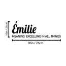 Vinyl Wall Art Decal - Emilie Meaning - Trendy Inspirational Quote Sticker For Children Bedroom Home School Classroom Nursery Daycare Kids Room Decor 4