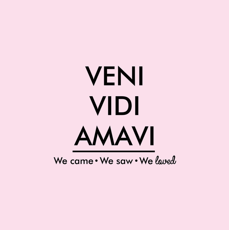 Vinyl Wall Art Decal - Veni Vidi Amavi - 17" x 21" - Trendy Lovely Motivational Fun Latin Quote Sticker For Home Bedroom Closet Living Room Office School Coffee Shop Decor 1