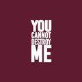 Vinyl Wall Art Decal - You Cannot Destroy Me - 45" x 22" - Modern Motivational Positive Quote Sticker For Home Office Room Yoga Gym Fitness Lifestyle Decor 1