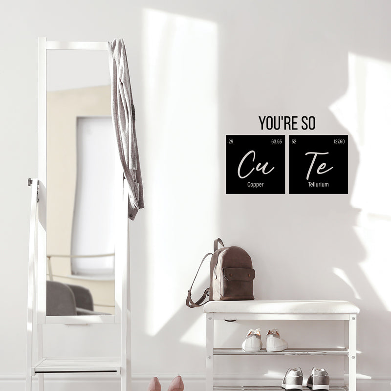 Vinyl Wall Art Decal - You're So Cu Te - 16" x 25" - Trendy Funny Lovely Good Vibes Quote Home Study Room Playroom School Classroom Chemistry Lab Library Office Coffee Shop Decor 3