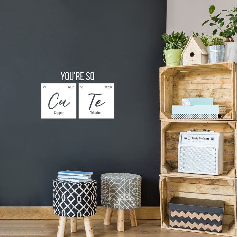 Vinyl Wall Art Decal - You're So Cu Te - 16" x 25" - Trendy Funny Lovely Good Vibes Quote Home Study Room Playroom School Classroom Chemistry Lab Library Office Coffee Shop Decor 3