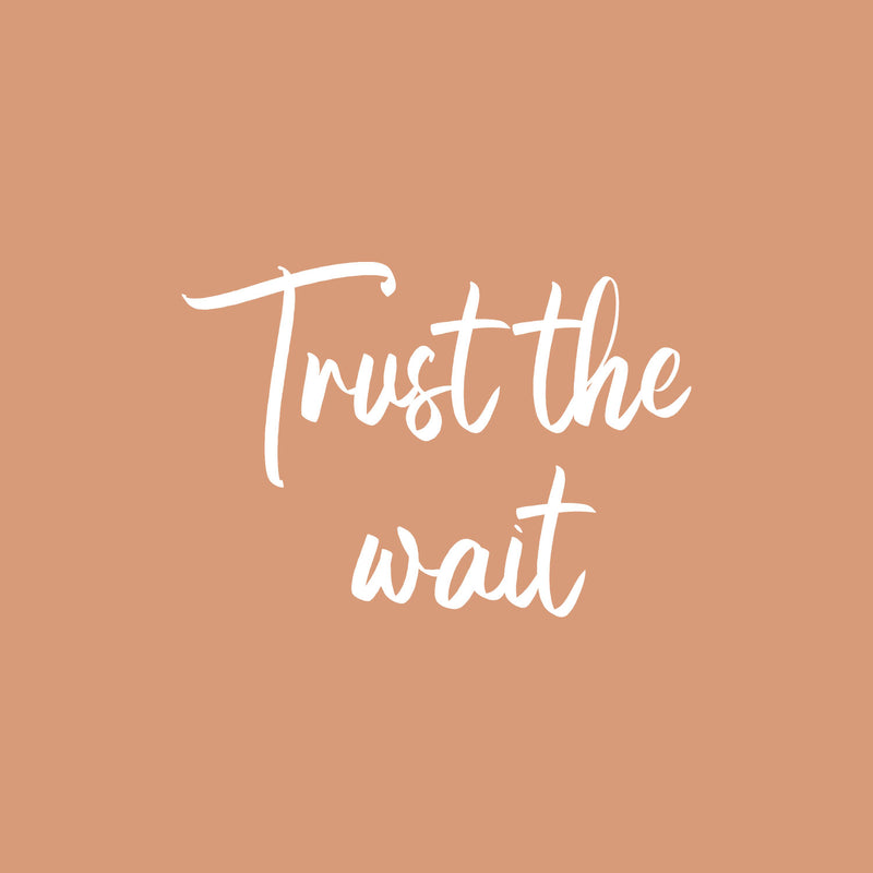 Vinyl Wall Art Decal - Trust The Wait - 15" x 21.5" - Trendy Inspirational Positive Quote Sticker For Home Bedroom Kids Room Family Room Playroom Baby Nursery Coffee Shop Decor 1