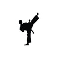 Vinyl Wall Art Decal - Taekwondo Side Kick - Trendy Motivational Positive Healthy Fun Design Sticker For Home Workout Room CrossFit Center Gym Fitness Lifestyle Decor 1