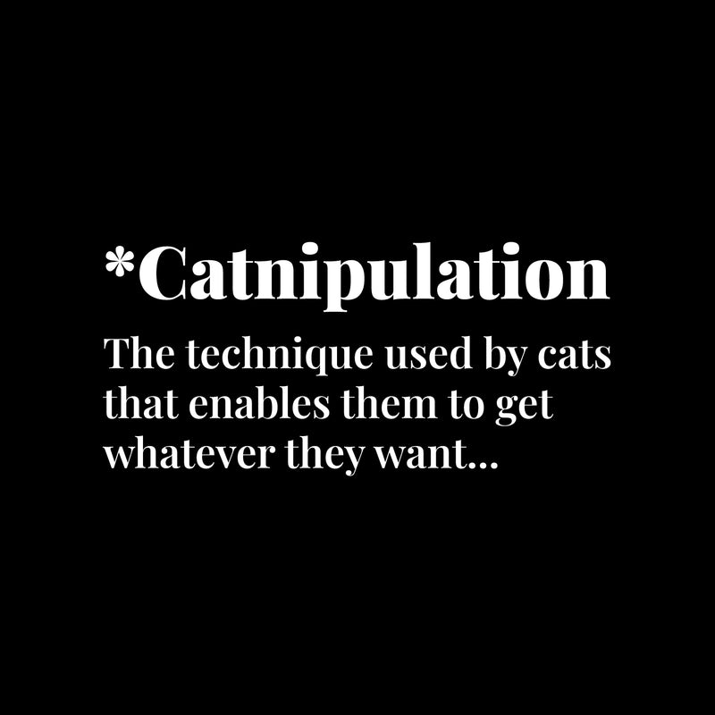 Vinyl Wall Art Decal - Catnipulation. The Technique Used By Cats - 8" x 17" - Trendy Lovely Funny Pets Quote Sticker For Cats Lovers Bedroom Living Room Office Veterinary Storefront Decor 1