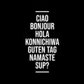 Vinyl Wall Art Decal - Ciao Bonjour Hola Konnichiwa - 24" x 13" - Trendy Multi-Language Hello Quote Sticker For Home Doors Windows Entry Office Storefront Fun Decor 1