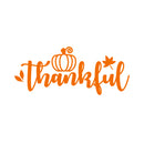 Vinyl Wall Art Decal - Thankful - 10. - Trendy Autumn Harvest Fall Leaves Seasonal Quote For Home Bedroom Kitchen Dining Room Office Church Decoration Sticker 1