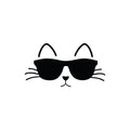 Vinyl Wall Art Decal - Cat Glasses - Modern Inspirational Cute Kitten Design Sticker For Home Vet Office Bedroom Living Room Pet Lovers Decor 1