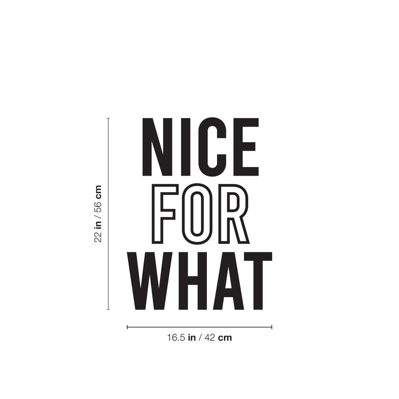 Vinyl Wall Art Decal - Nice For What - 22" x 16.5" - Trendy inspirational Fun Positive Good Vibes Sticker For Home Bedroom Closet Living Room Office Coffee Shop Decor 4