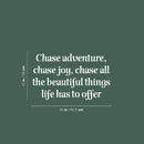Vinyl Wall Art Decal - Chase Adventure Chase Joy - Modern Inspiring Positive Good Vibes Quote Sticker For Home Living Room Kids Bedroom Playroom Classroom School Office Decor 5