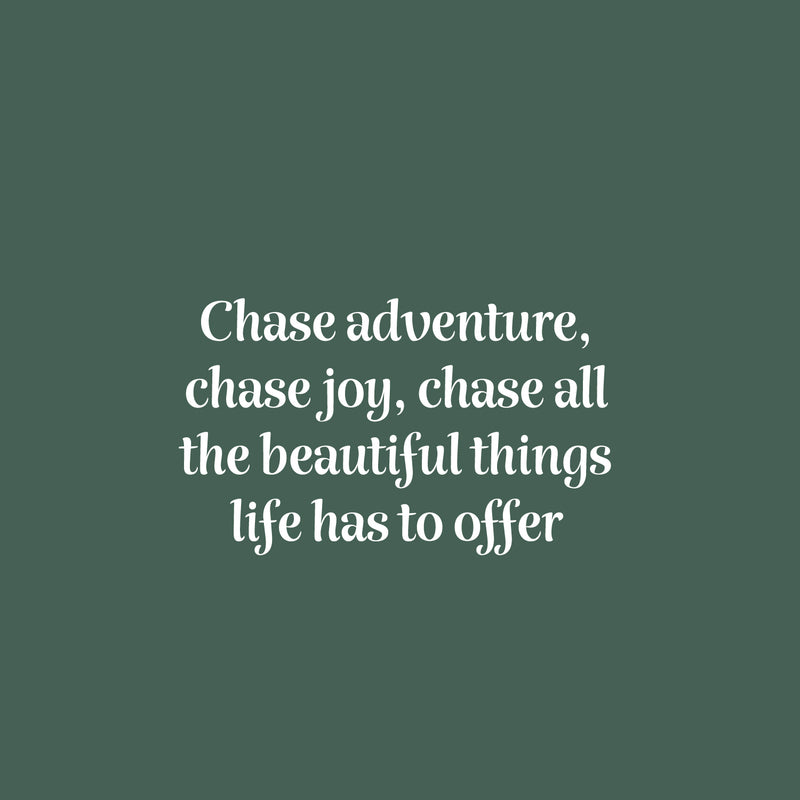 Vinyl Wall Art Decal - Chase Adventure Chase Joy - 15" x 25" - Modern Inspiring Positive Good Vibes Quote Sticker For Home Living Room Kids Bedroom Playroom Classroom School Office Decor 1