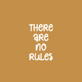 Vinyl Wall Art Decal - There Are No Rules - 25" x 16.5" - Trendy Lovely Funny Good Vibes Quote Sticker For Home Bedroom Kids Room Nursery Playroom Daycare Closet Boutique Beauty Saloon Decor 1