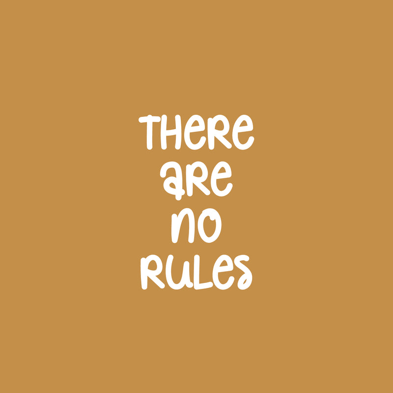 Vinyl Wall Art Decal - There Are No Rules - 25" x 16.5" - Trendy Lovely Funny Good Vibes Quote Sticker For Home Bedroom Kids Room Nursery Playroom Daycare Closet Boutique Beauty Saloon Decor 1