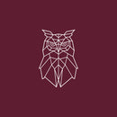 Vinyl Wall Art Decal - Geometric Owl - 17" x 25" - Modern Sticker Trendy Animal Figures Minimalist Design For Home Bedroom Living Room Work Office Store Decor 1