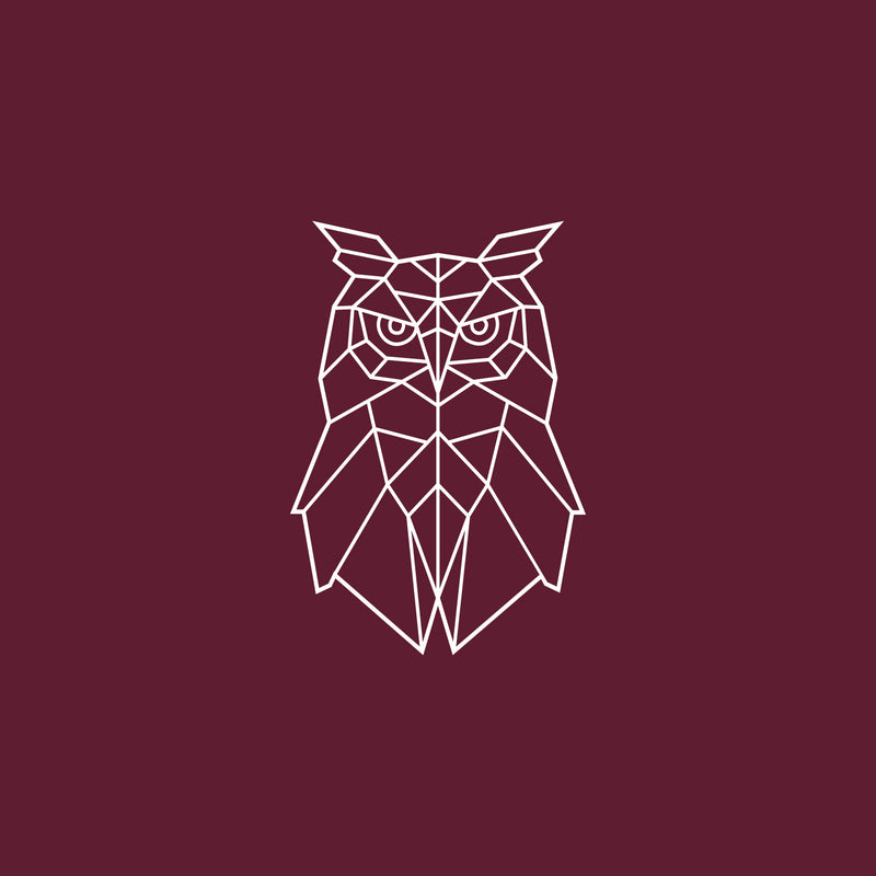 Vinyl Wall Art Decal - Geometric Owl - 17" x 25" - Modern Sticker Trendy Animal Figures Minimalist Design For Home Bedroom Living Room Work Office Store Decor 1