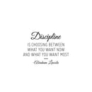 Vinyl Wall Art Decal - Discipline - 16.5" x 22.5" - Trendy Motivating Positive Lifestyle Quote Sticker For Bedroom Living Room Office School Coffee Shop Gym Fitness Decor 1