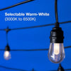 Novolink CSL-12-5-BLE 27.42 ft. Serie de Luces LED Edison Inteligentes RGBW para Exterior