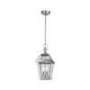 Home Decorators Collection JLW1702AX-02/SL Lámpara Colgante Exterior Estilo Gas Acero Inoxidable