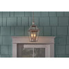 Home Decorators Collection JLW1702AX-02/SL Lámpara Colgante Exterior Estilo Gas Acero Inoxidable